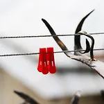 Open Home Hostel * Lviv
