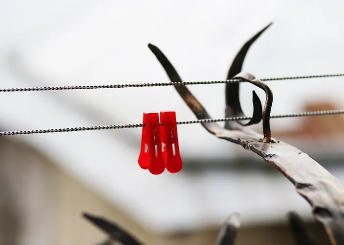 Open Home Hostel * Lviv